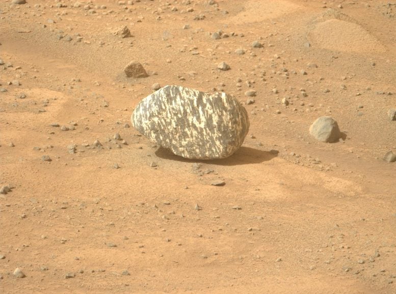 NASA Mars Perseverance Rover Striped Rock