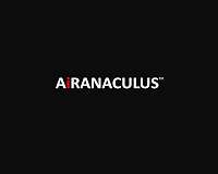 Logo de AiRANACULUS